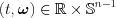 $ \left(t,\boldsymbol{\omega} \right ) \in \mathbb{R}\times \mathbb{S}^{n-1}